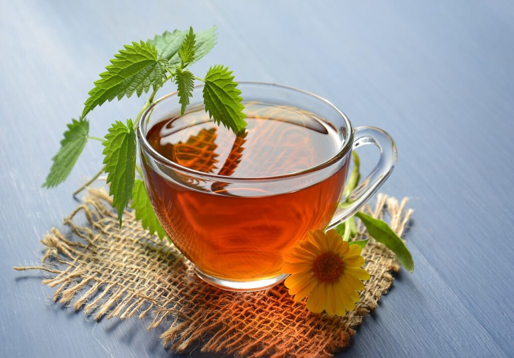 Nettle Tea